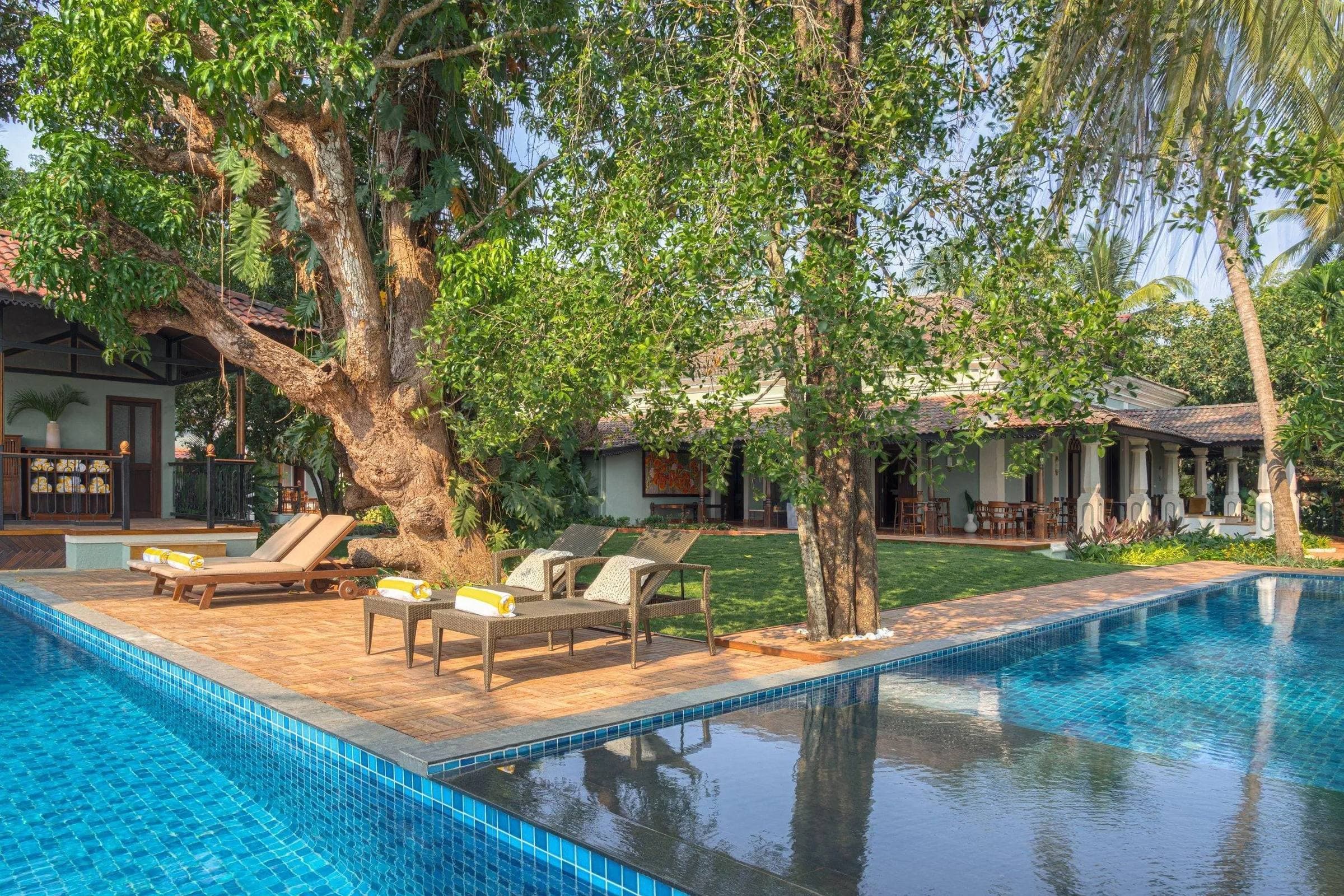 A low villa with a tiled roof behind a blue swimming pool, sun loungers under a large tree and palms around the lawn.